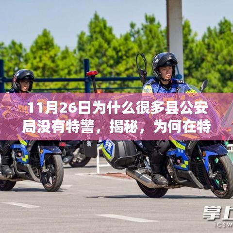 洁身自好 第4页