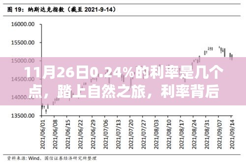 披肝沥胆 第5页