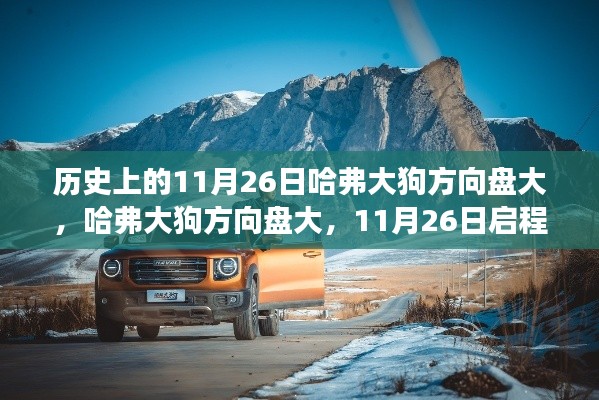 阿胶究竟有哪些功效 第503页