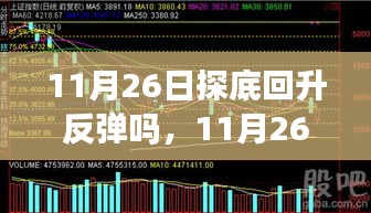 产品展示 第494页