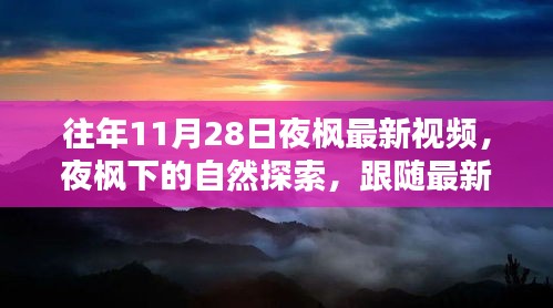虎背熊腰 第4页