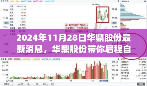 钗荆裙布 第4页