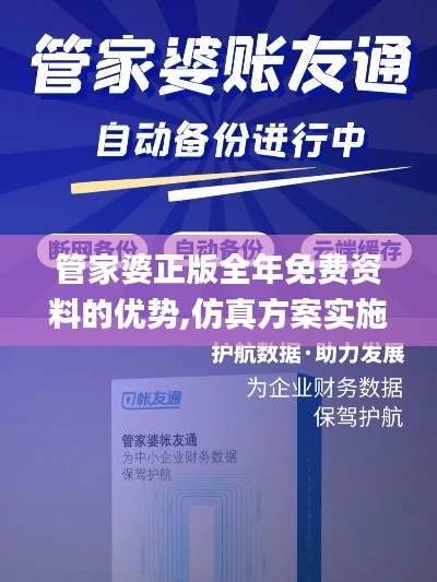 管家婆正版全年免费资料的优势,仿真方案实施_原创版EFV86.222