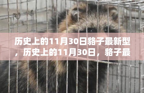 凌空飞起 第5页