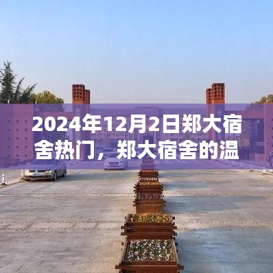 2024年12月2日