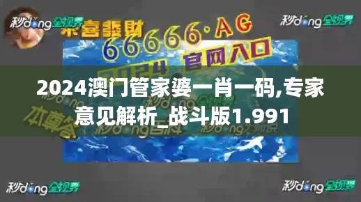 2024澳门管家婆一肖一码,专家意见解析_战斗版1.991