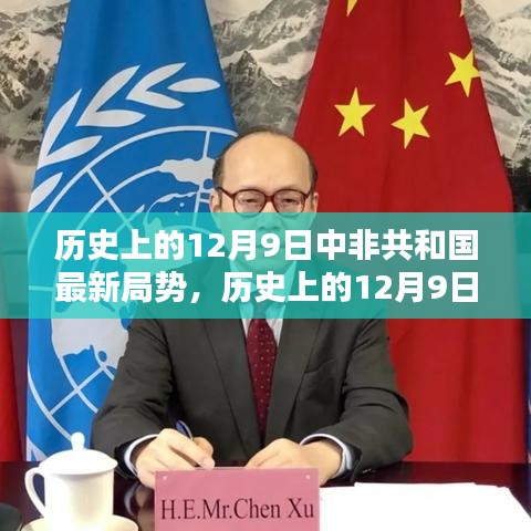 最新动态回顾