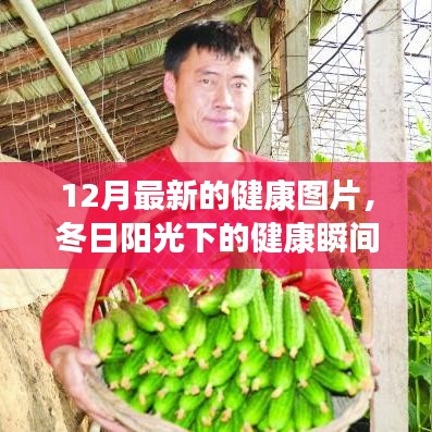 冬日阳光