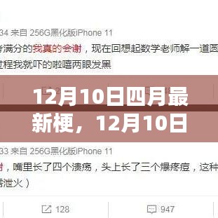 林下风范 第4页