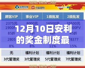 揭秘,12月10日安利奖金制度最新改版特性及优势