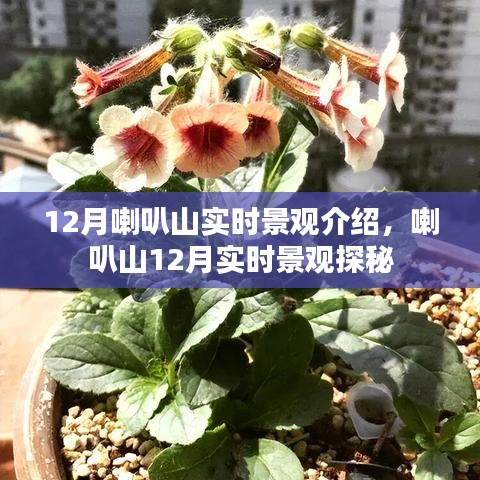 秀色可餐 第3页