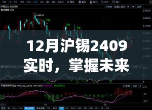 12月沪锡2409实时交易入门指南,从初学者到进阶用户的行情掌握