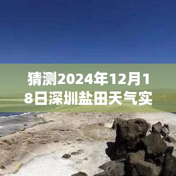 口若悬河 第4页
