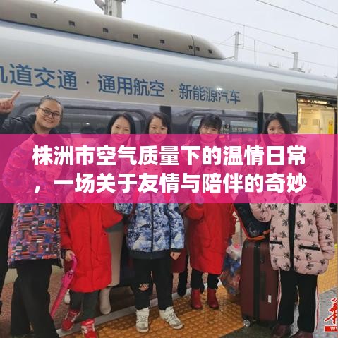 温情日常