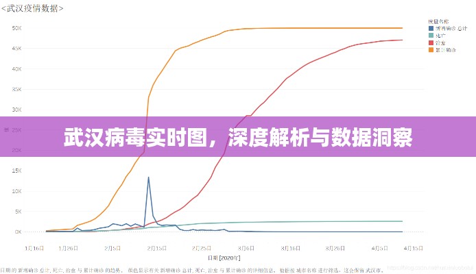 深度解析报告