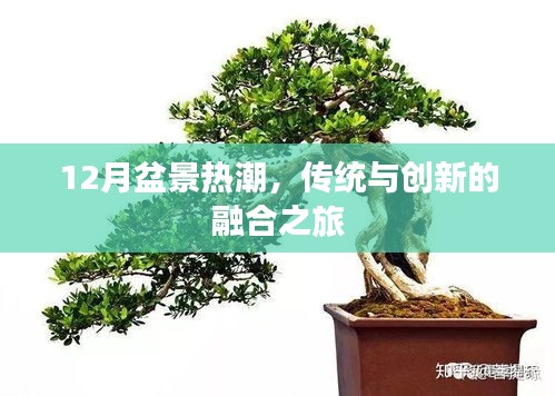 死得其所 第2页
