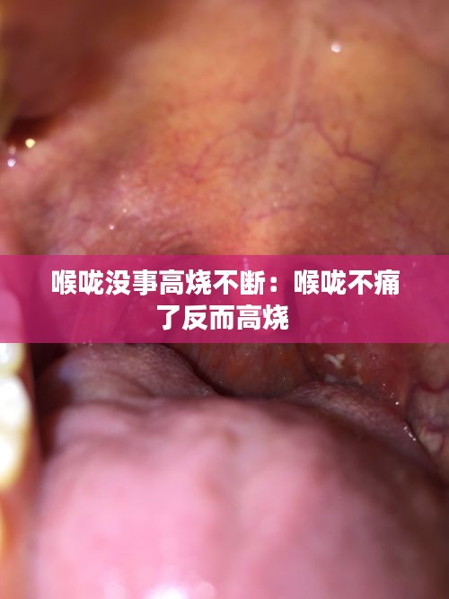 第1685页