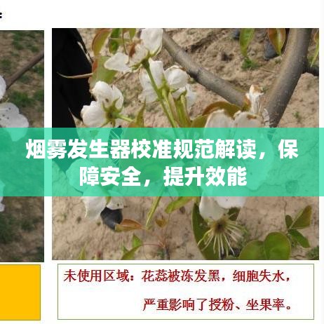 螓首蛾眉 第2页