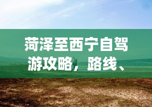 落土飞岩 第3页