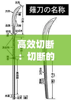 高效切断：切断的关键是切断刀的 和选择合理的 