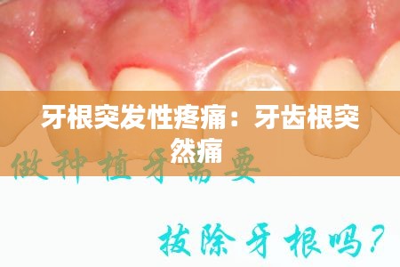 还醇返朴 第4页