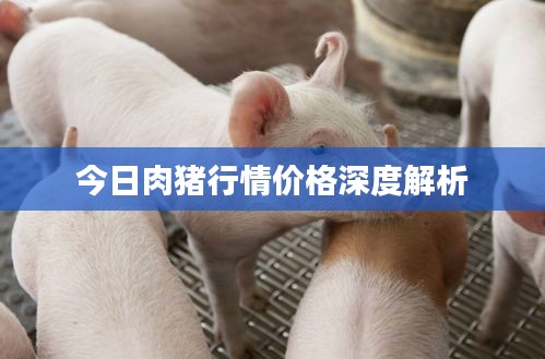 手舞足蹈 第2页