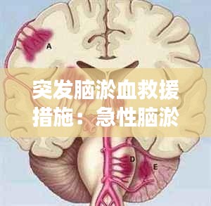 第1228页