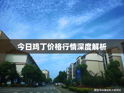 今日鸡丁价格行情深度解析