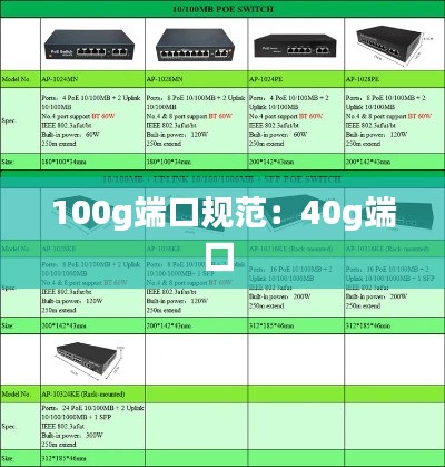 100g端口规范：40g端口 
