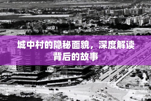 展翅欲飞 第2页