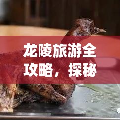 龙陵旅游全攻略,探秘美景,尽享精彩之旅!