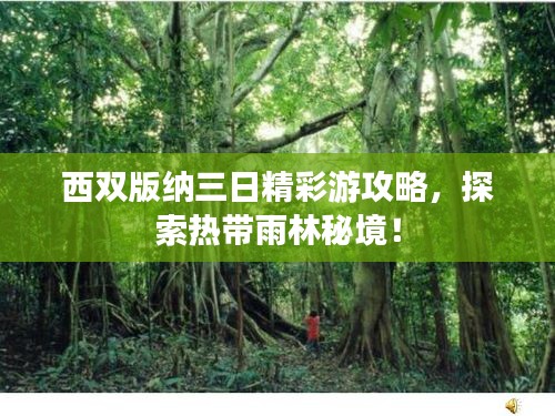 西双版纳三日精彩游攻略,探索热带雨林秘境!