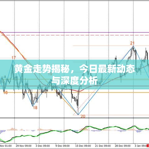 关于我们 第15页