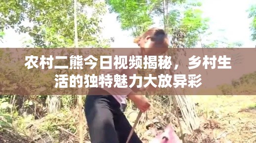 关于我们 第10页
