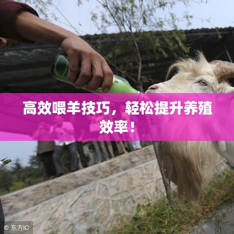 联系我们 第10页
