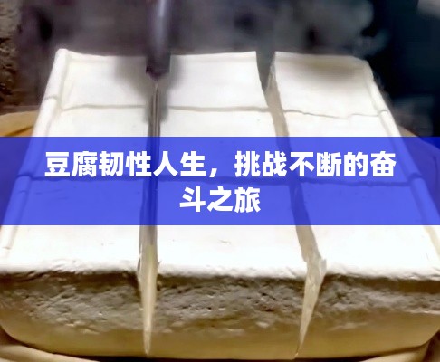 炙手可热