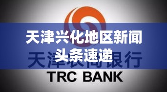 阿胶究竟有哪些功效 第7页
