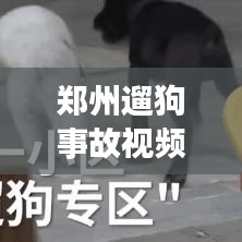 阿胶究竟有哪些功效 第2页