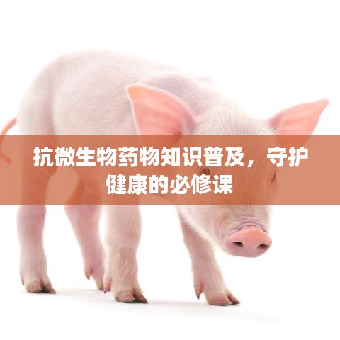 抗微生物药物知识普及,守护健康的必修课