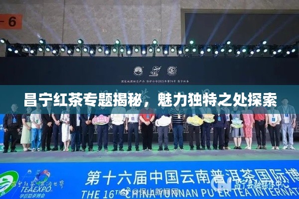 2025年6月 第101页