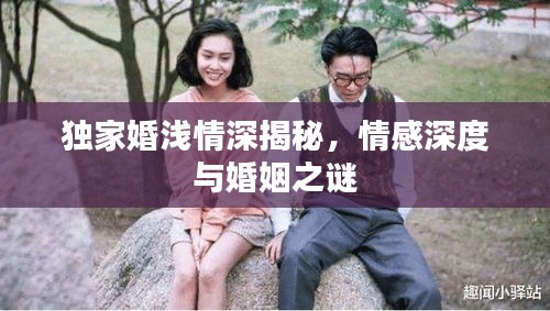 独家婚浅情深揭秘，情感深度与婚姻之谜