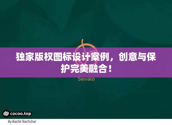 独家版权图标设计案例，创意与保护完美融合！